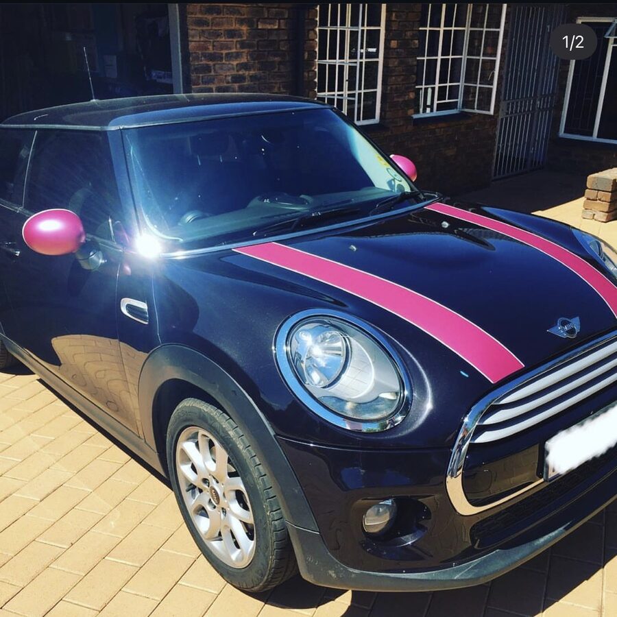 Mini Cooper Custom Striping